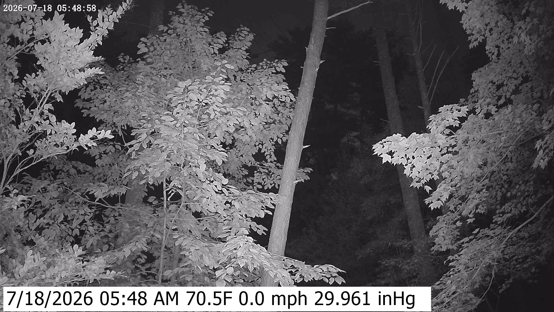 Click to open image page. Yard Camera