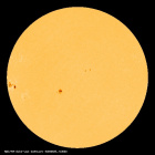 SDO/HMI Continuum Image of the Sun