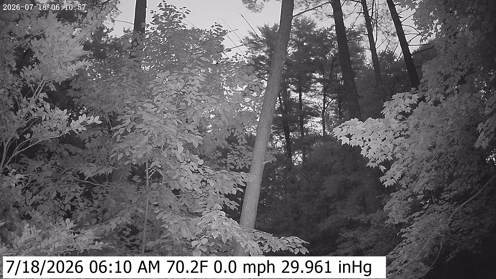 Click to open image page. Yard Camera