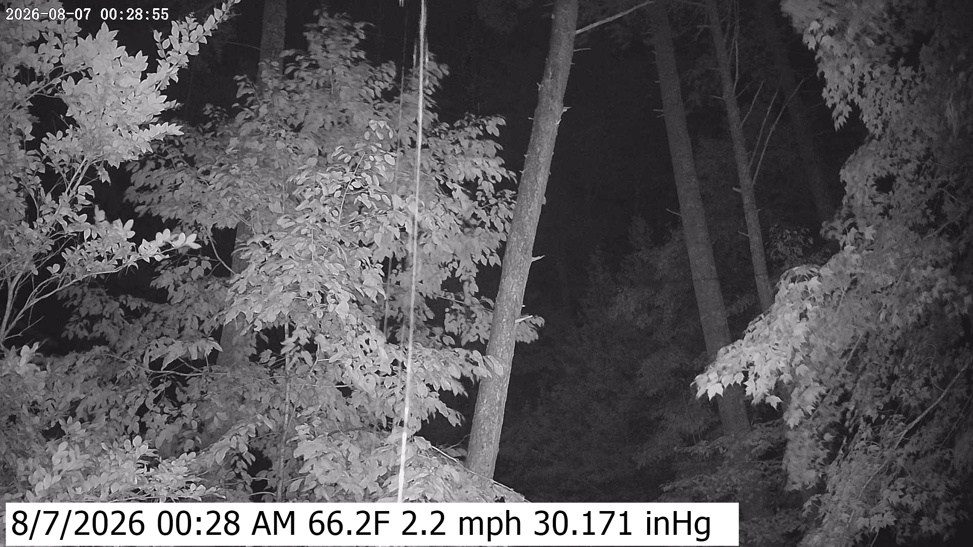 Click to open image page. Yard Camera