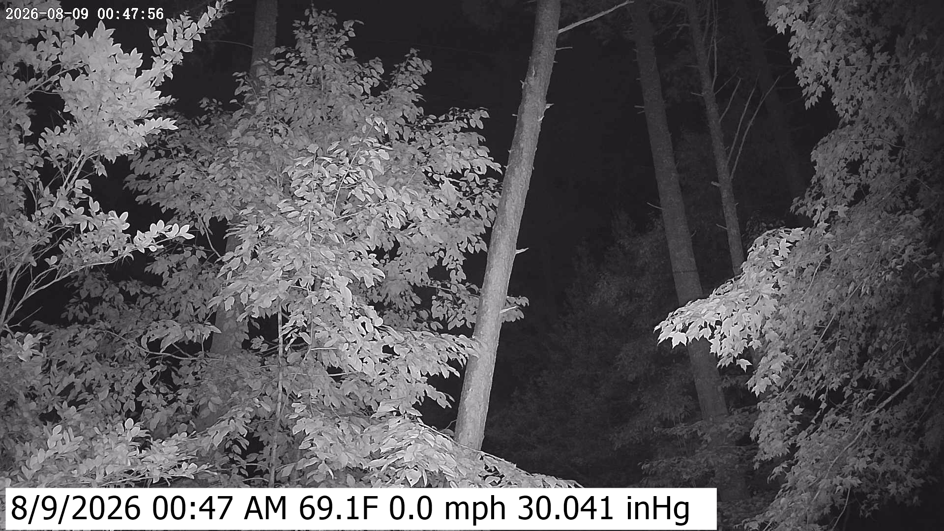 Click to open image page. Yard Camera